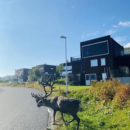 I Tromsø