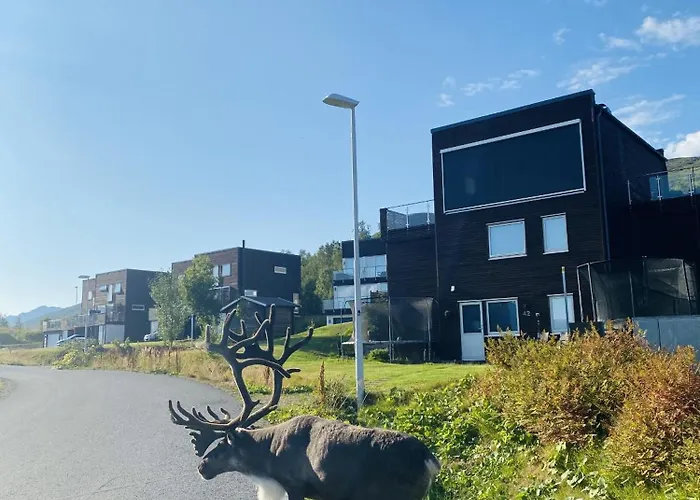 I Tromsø